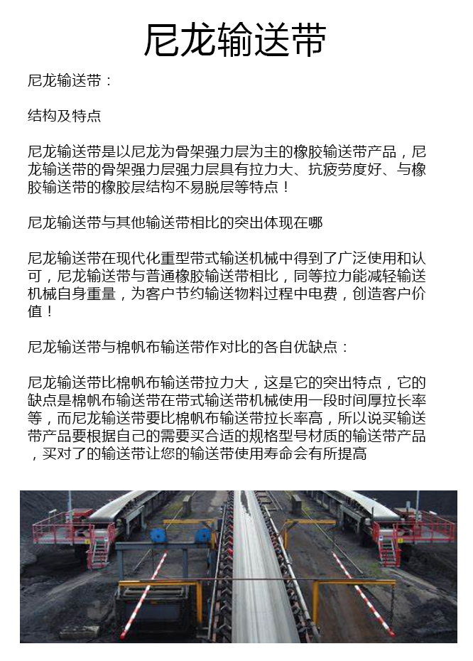 超宽尼龙输送带厂家 超宽尼龙输送带厂家